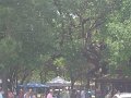 DSC01433